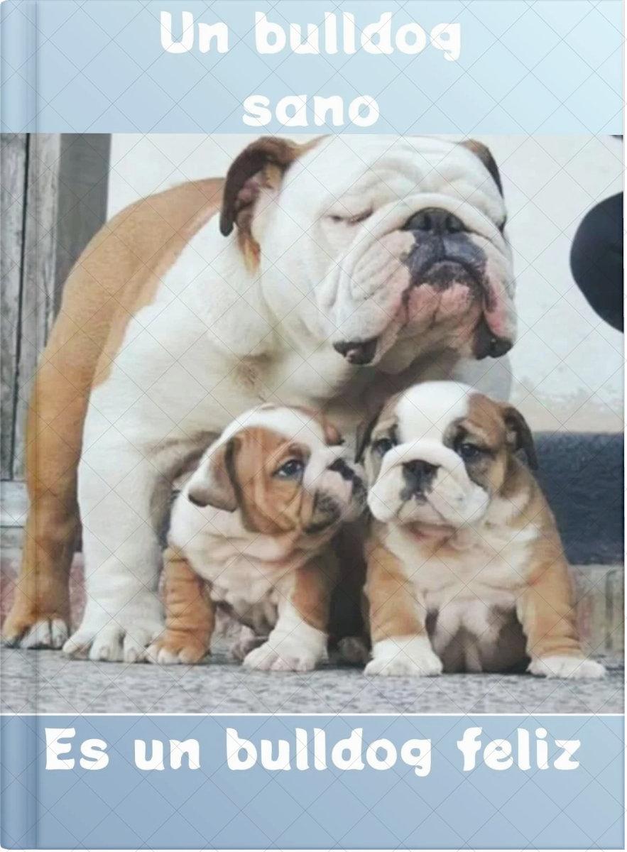 Un Bulldog Sano,es un Bulldog Feliz